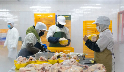 液氮速凍機(jī)助力預(yù)制菜行業(yè)還原度問題