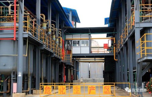 年銷售額超10億元 這家鹿寨企業(yè)沖刺上市