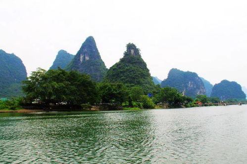 打卡廣西最大農(nóng)莊,吃陽(yáng)朔網(wǎng)紅啤酒魚
